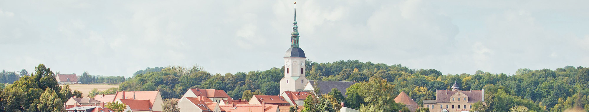 Stadt Dohna Banner