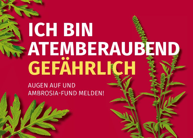Online-Terminbuchungstool für das Einwohnermeldeamt steht zur Verfügung